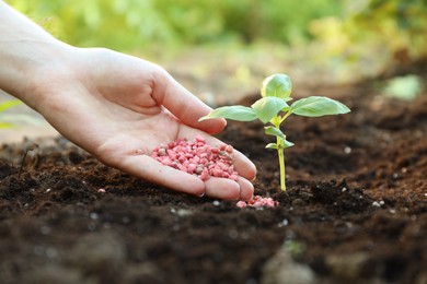 Photo of Woman putting fertilizer onto soil under plant outdoors, closeup