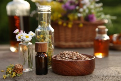 Tincture in bottles and different ingredients on wooden table outdoors