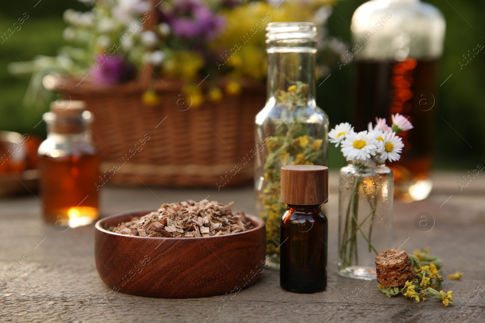 Photo of Tincture in bottles and different ingredients on wooden table outdoors