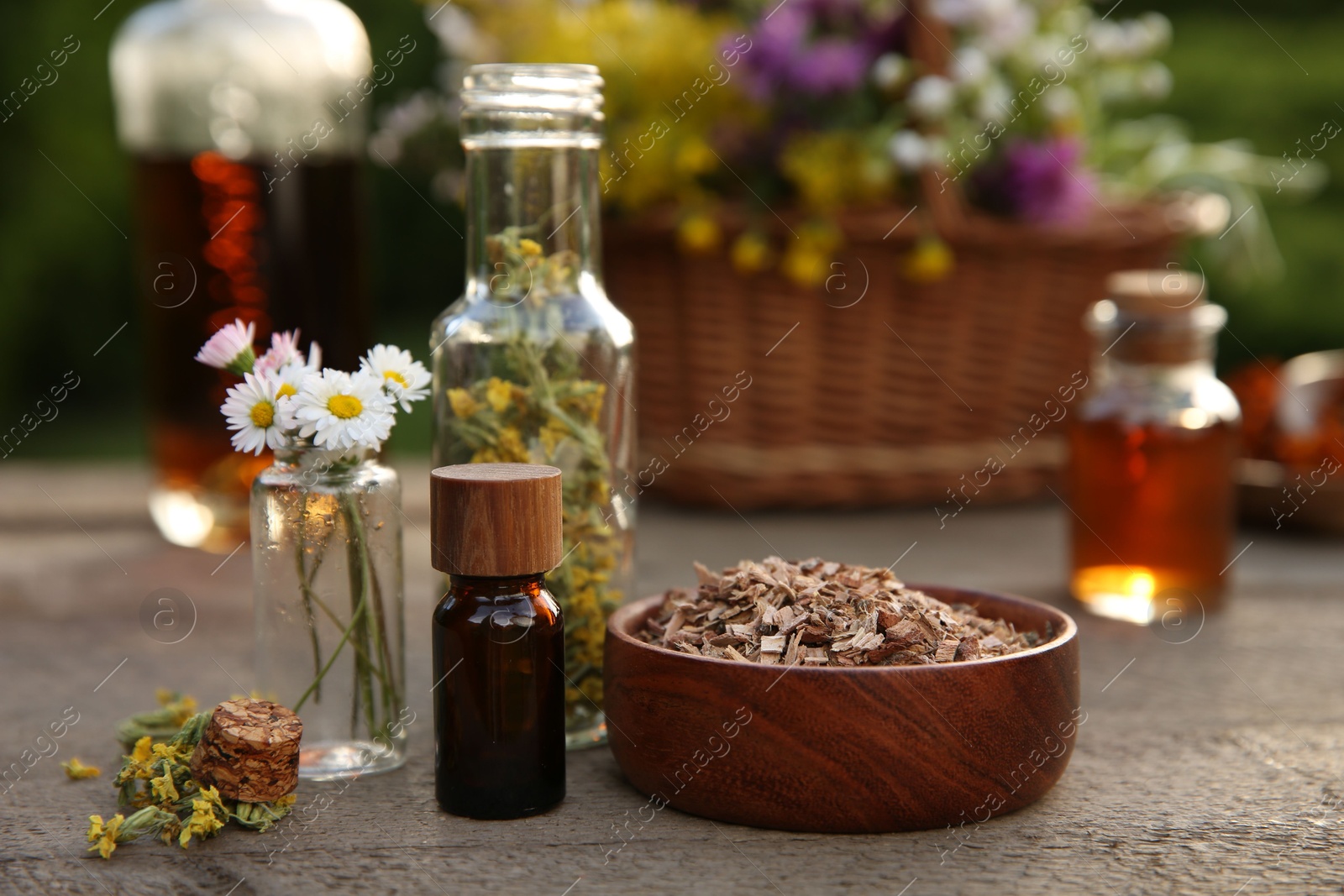 Photo of Tincture in bottles and different ingredients on wooden table outdoors