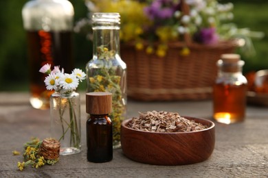 Tincture in bottles and different ingredients on wooden table outdoors