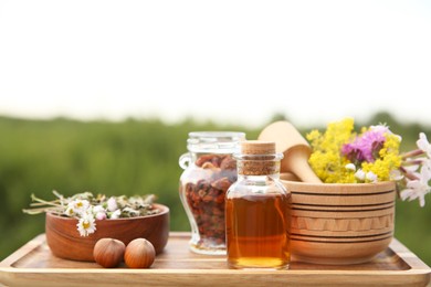 Photo of Tincture in bottle, different ingredients, mortar and pestle outdoors