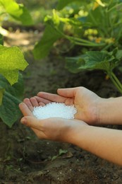 Photo of Woman putting fertilizer onto soil under plant outdoors, closeup