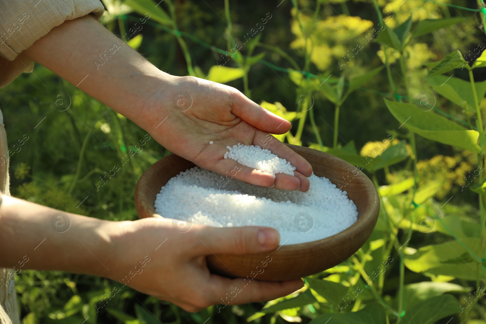 Photo of Woman holding plant fertilizer in bowl outdoors, closeup