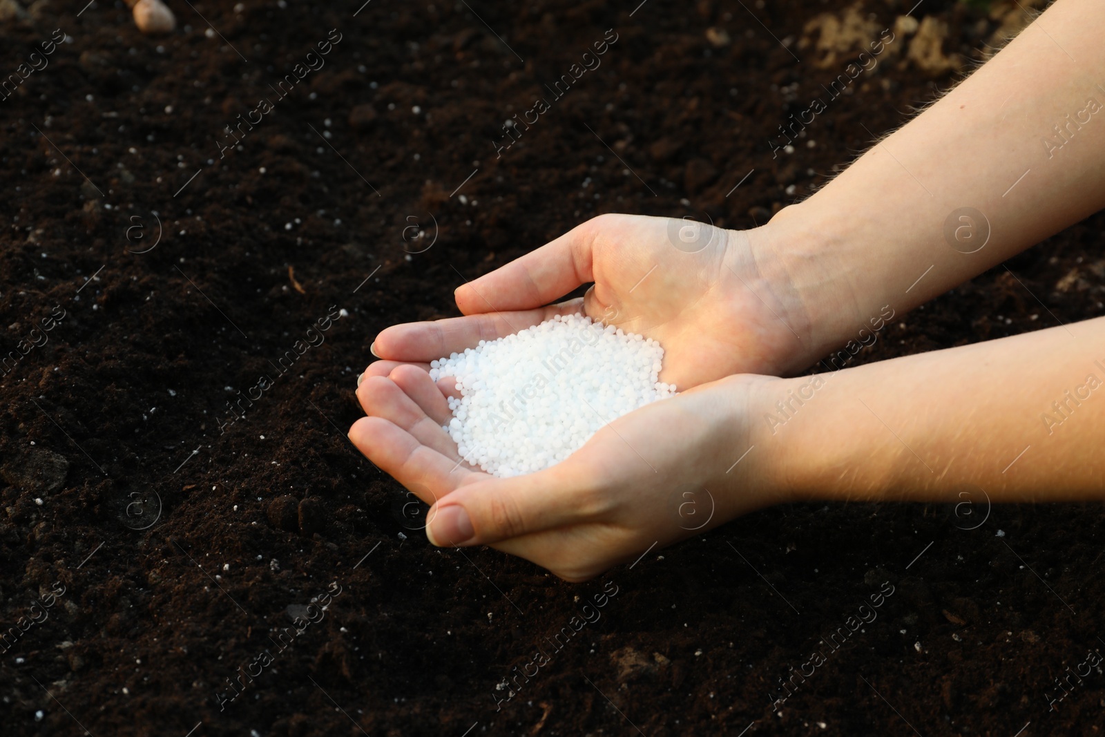 Photo of Woman holding white plant fertilizer over soil outdoors, closeup