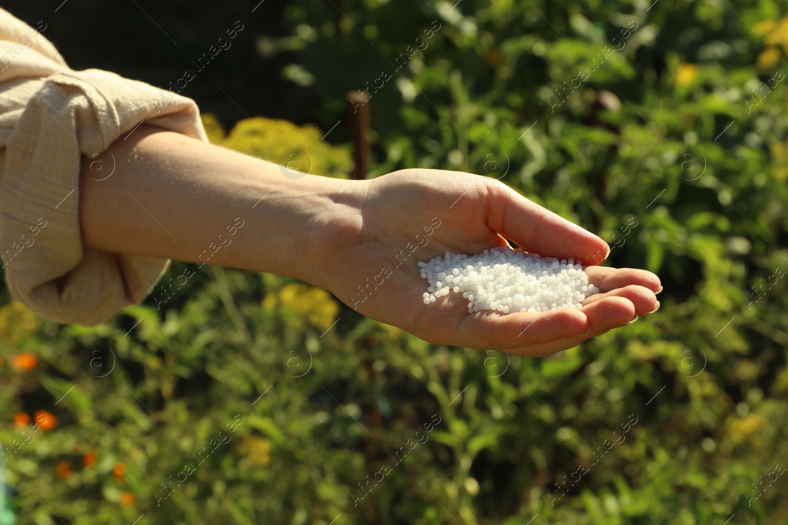 Photo of Woman holding white plant fertilizer outdoors, closeup