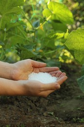 Photo of Woman putting fertilizer onto soil under plant outdoors, closeup