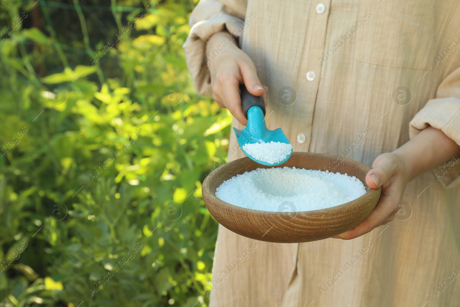 Photo of Woman holding plant fertilizer in bowl outdoors, closeup