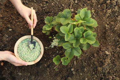 Woman putting fertilizer onto soil under plant outdoors, closeup