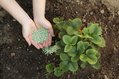 Photo of Woman putting fertilizer onto soil under plant outdoors, closeup