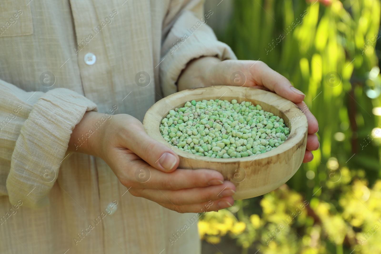 Photo of Woman holding plant fertilizer in bowl outdoors, closeup