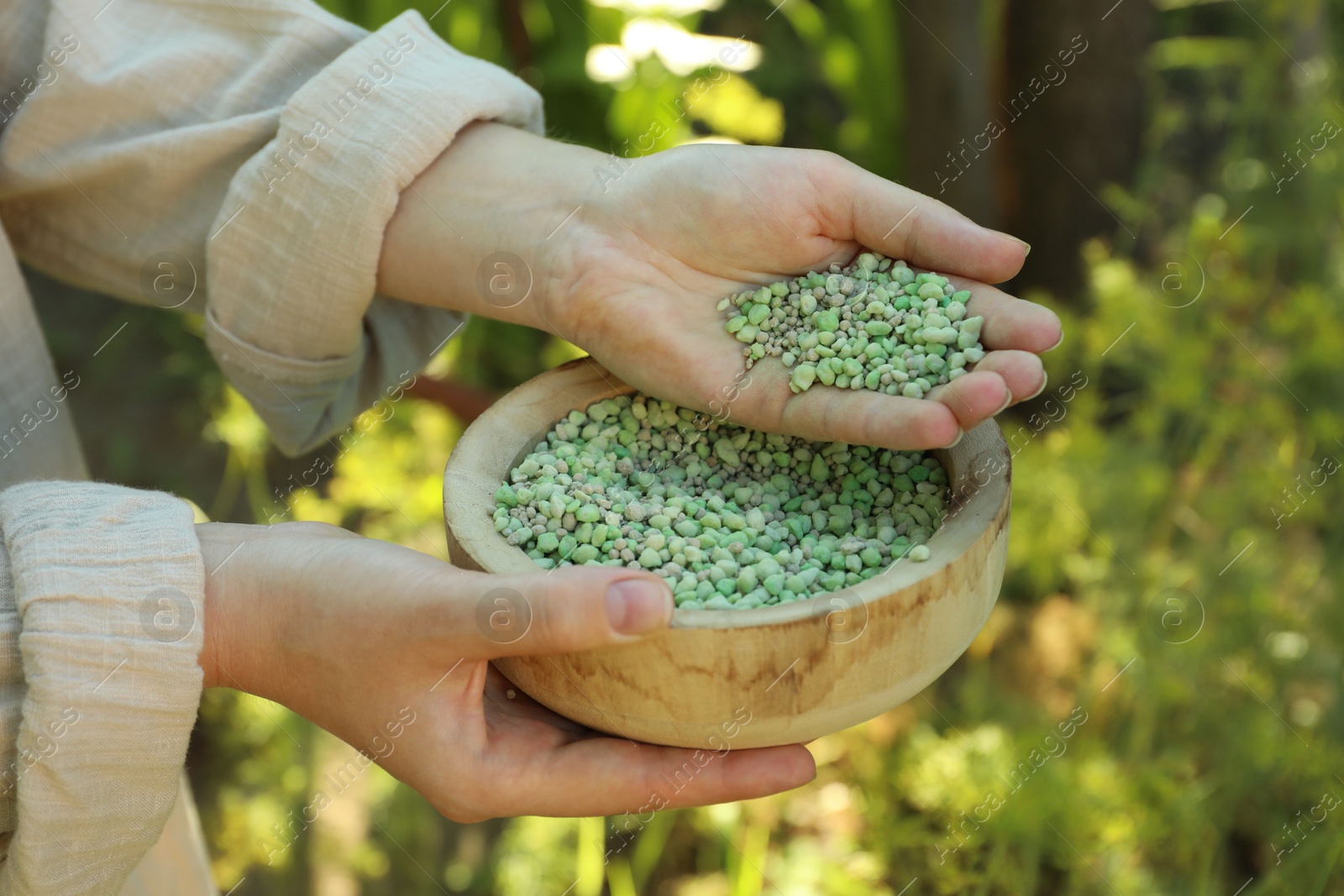 Photo of Woman holding plant fertilizer in bowl outdoors, closeup