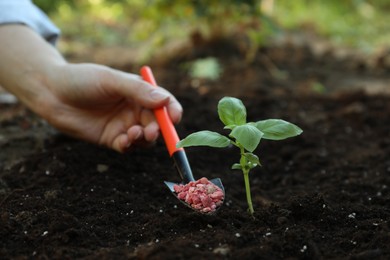 Woman putting fertilizer onto soil under plant outdoors, closeup