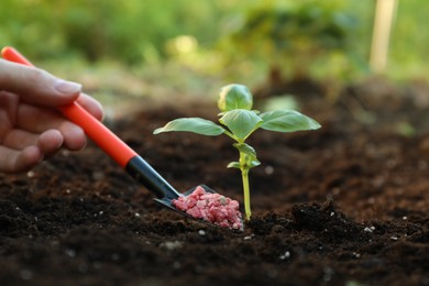 Photo of Woman putting fertilizer onto soil under plant outdoors, closeup