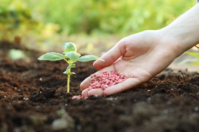 Photo of Woman putting fertilizer onto soil under plant outdoors, closeup