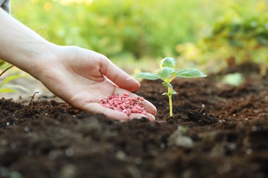 Photo of Woman putting fertilizer onto soil under plant outdoors, closeup