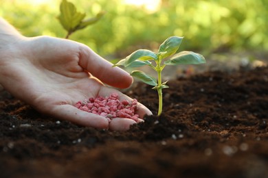 Photo of Woman putting fertilizer onto soil under plant outdoors, closeup