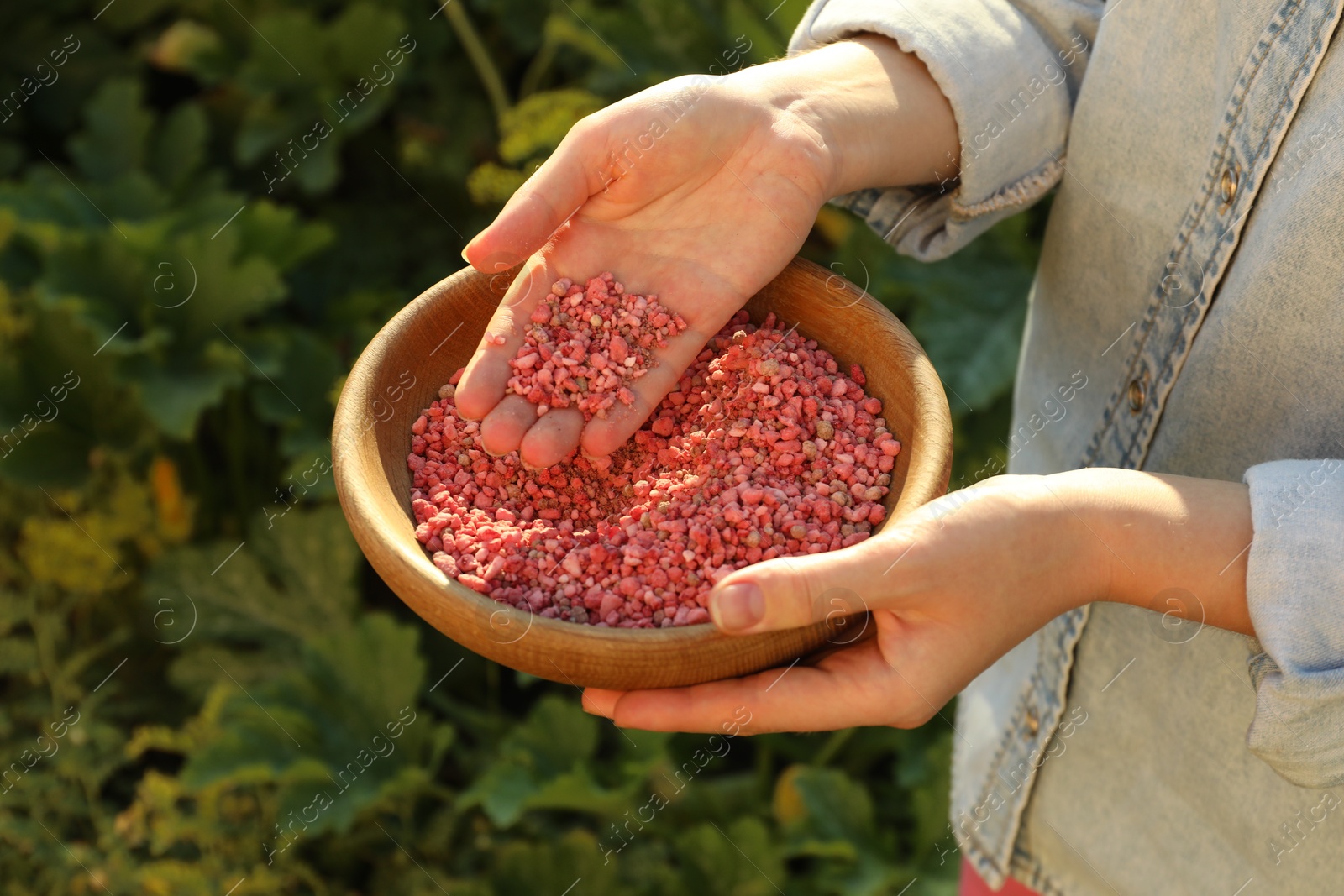 Photo of Woman holding plant fertilizer in bowl outdoors, closeup