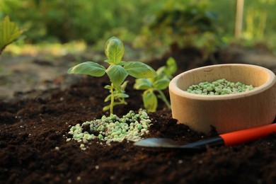 Photo of Plant, fertilizer and trowel on soil outdoors, closeup