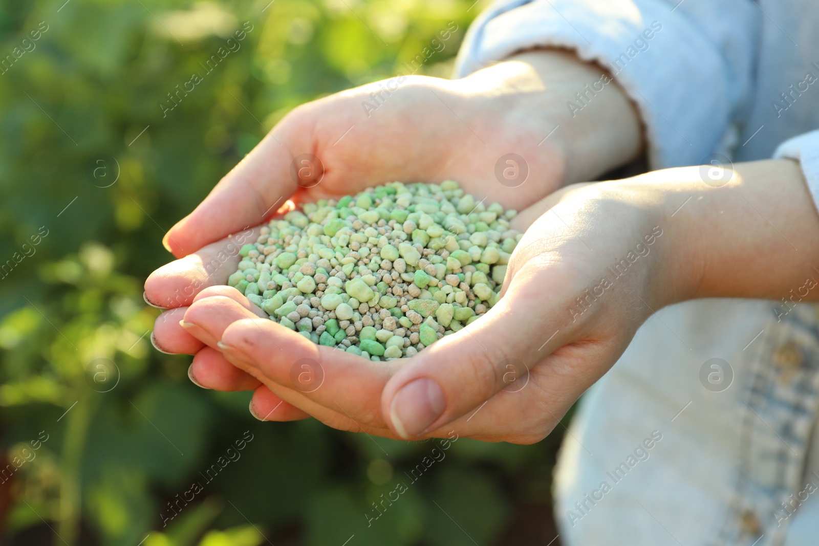 Photo of Woman holding green plant fertilizer outdoors, closeup