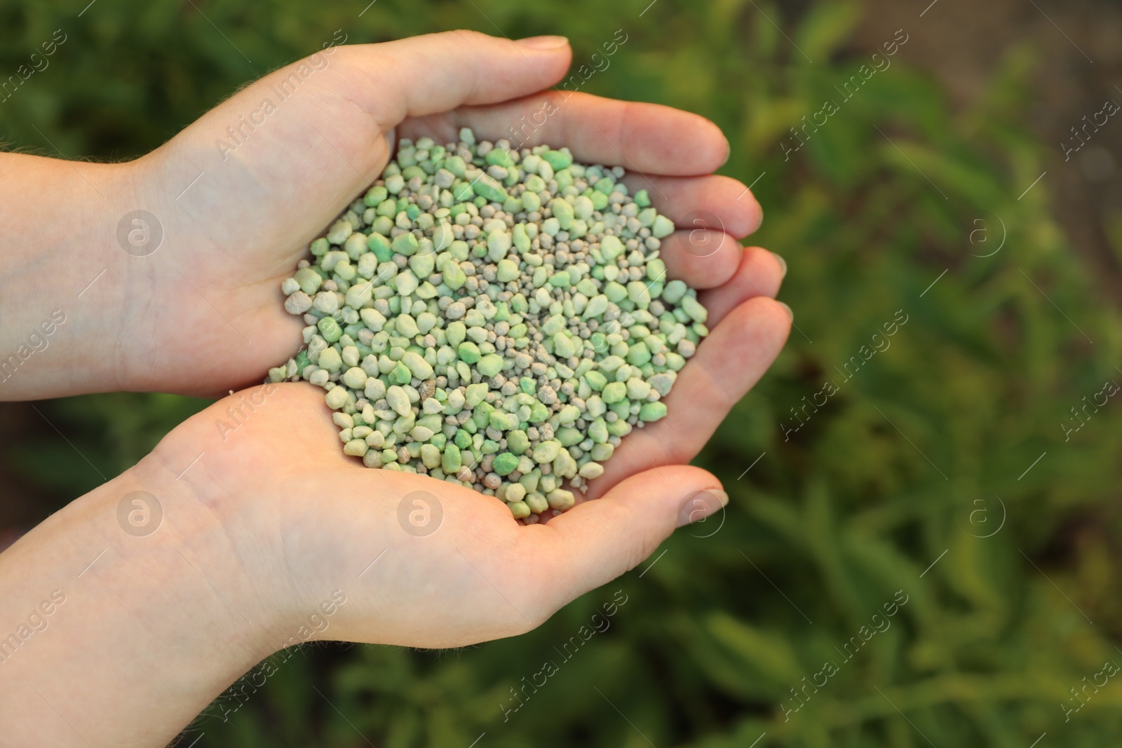 Photo of Woman holding green plant fertilizer outdoors, closeup