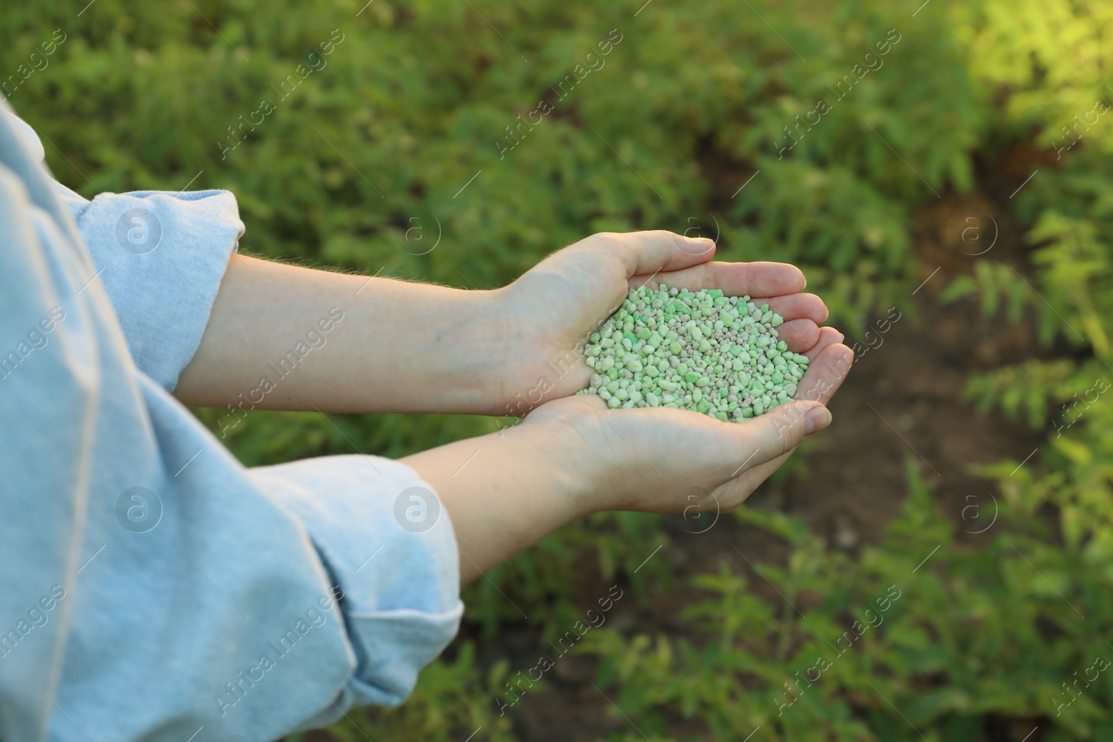 Photo of Woman holding green plant fertilizer outdoors, closeup