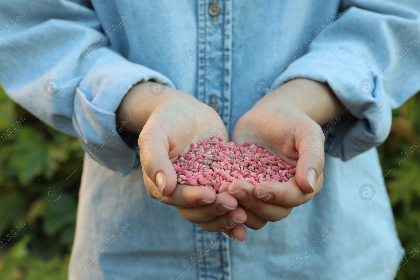 Photo of Woman holding pink plant fertilizer outdoors, closeup