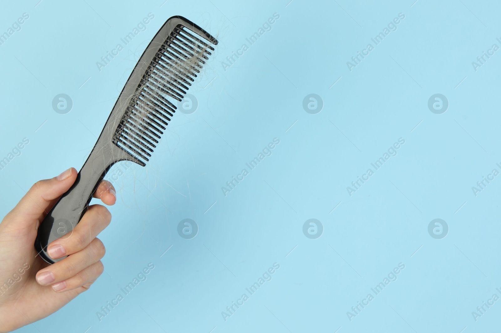 Photo of Woman holding comb with lost hair on light blue background, closeup. Space for text