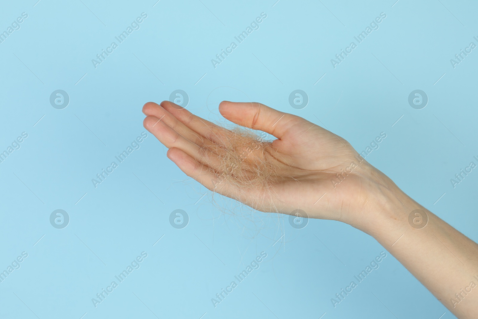 Photo of Woman holding lost hair on light blue background, closeup. Space for text