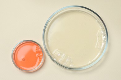 Photo of Petri dishes with samples on beige background, top view