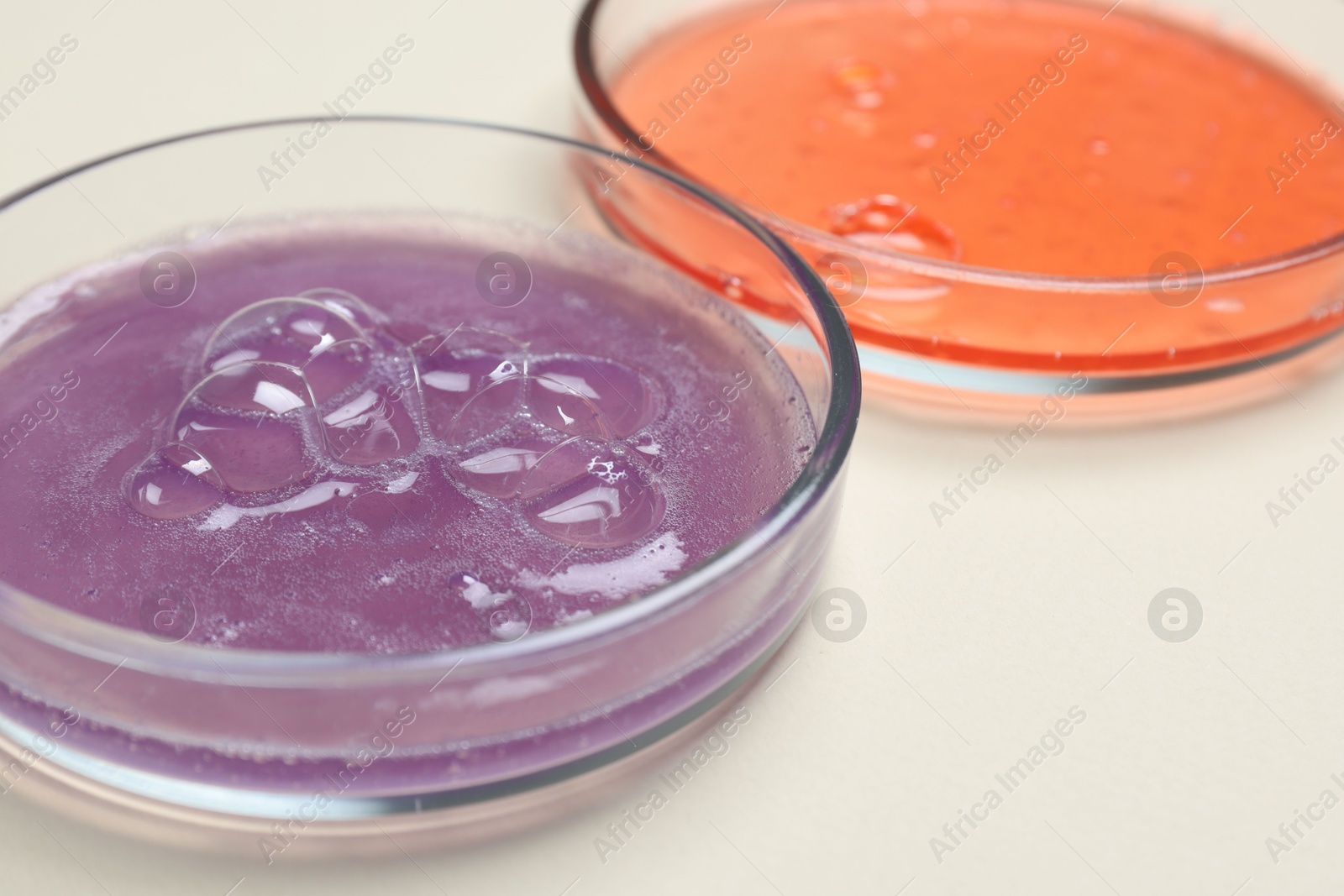 Photo of Petri dishes with samples on beige background, closeup