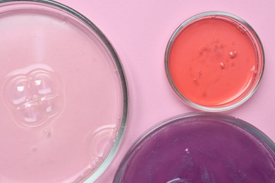 Photo of Petri dishes with samples on pink background, top view