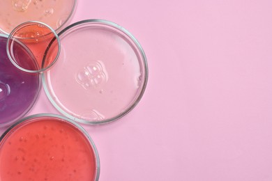 Petri dishes with samples on pink background, top view. Space for text