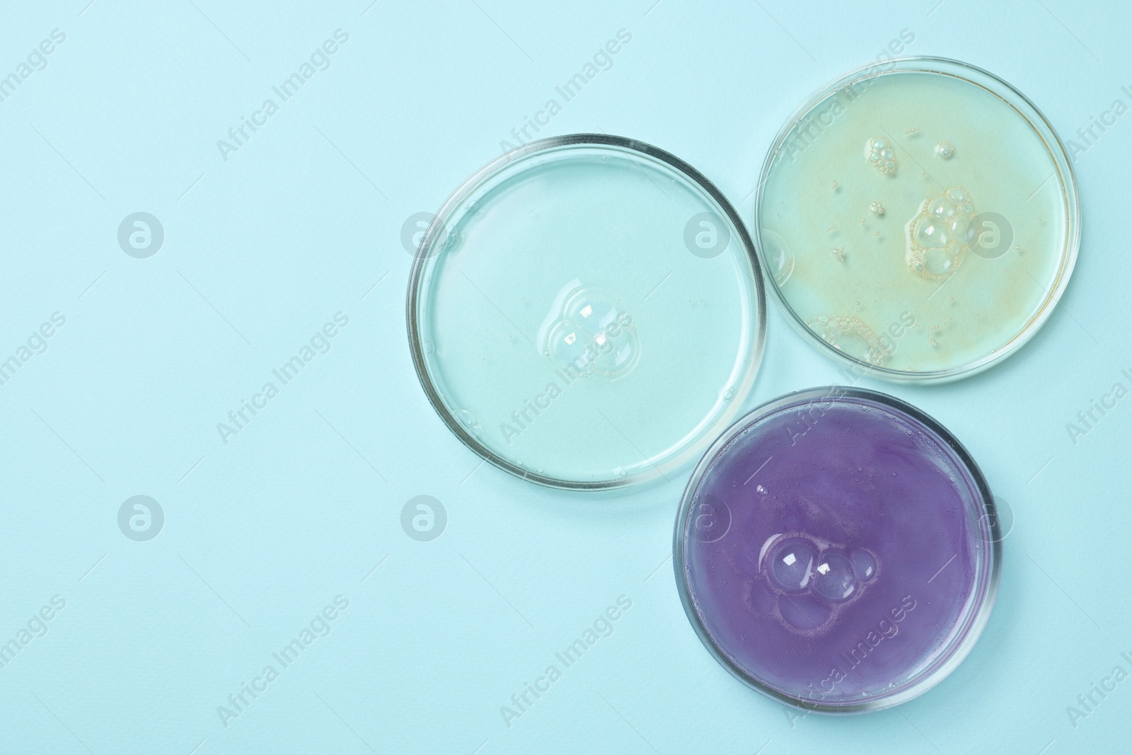 Photo of Petri dishes with samples on light blue background, top view. Space for text