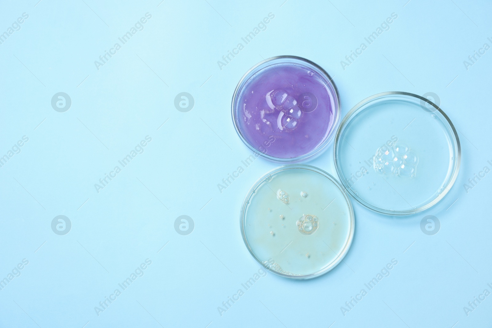 Photo of Petri dishes with samples on light blue background, top view. Space for text