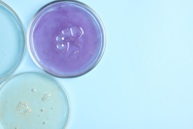 Petri dishes with samples on light blue background, top view. Space for text