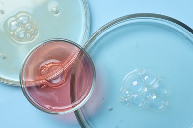 Photo of Petri dishes with samples on light blue background, top view