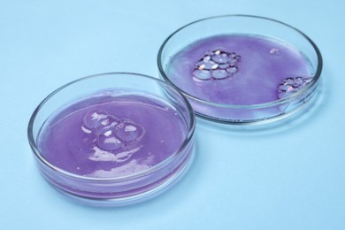 Photo of Petri dishes with samples on light blue background