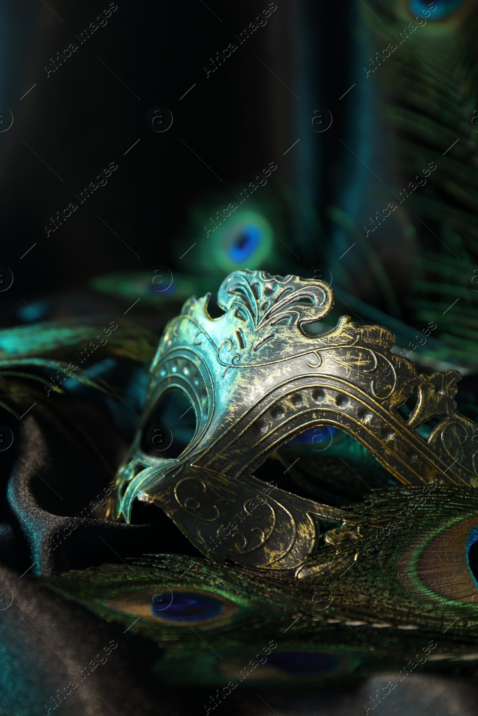 Photo of Beautiful carnival mask and peacock feathers on black fabric, closeup