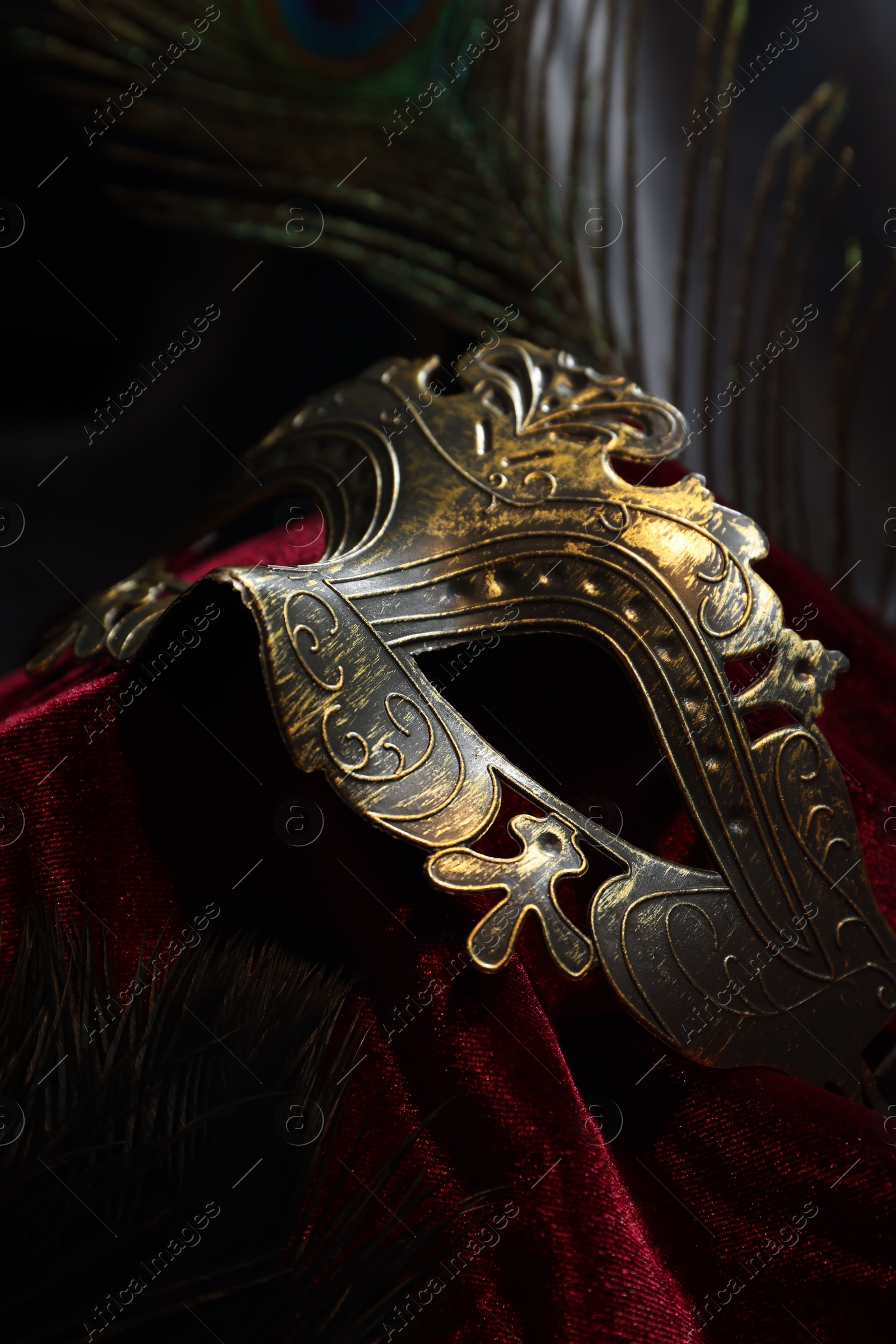 Photo of One beautiful carnival mask on red fabric, closeup