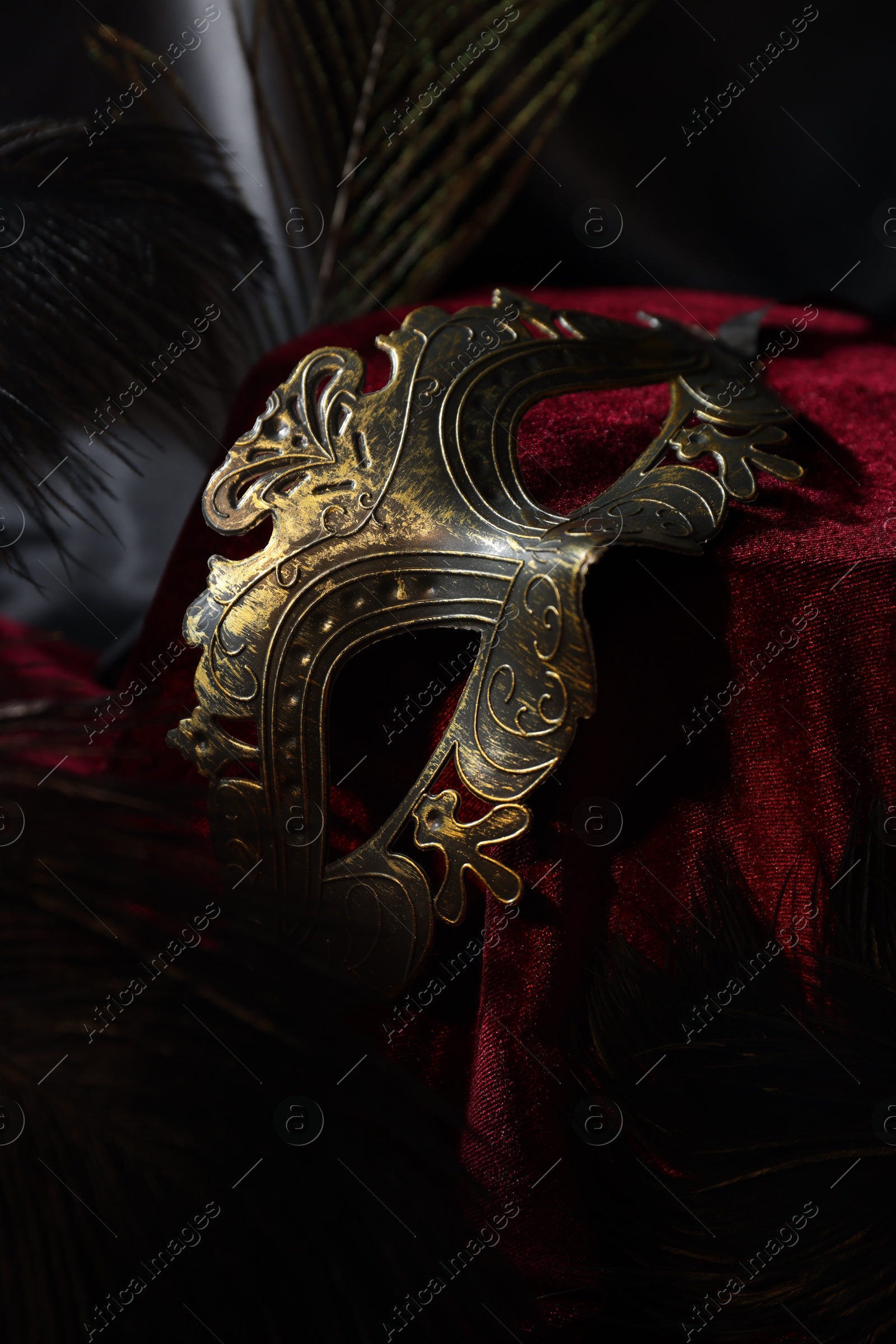 Photo of One beautiful carnival mask on red fabric, closeup