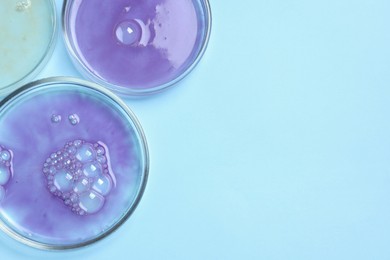 Photo of Petri dishes with samples on light blue background, top view. Space for text