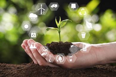 Image of Environmental protection. Woman holding young green seedling in soil against blurred background, closeup. Many different icons around her hand