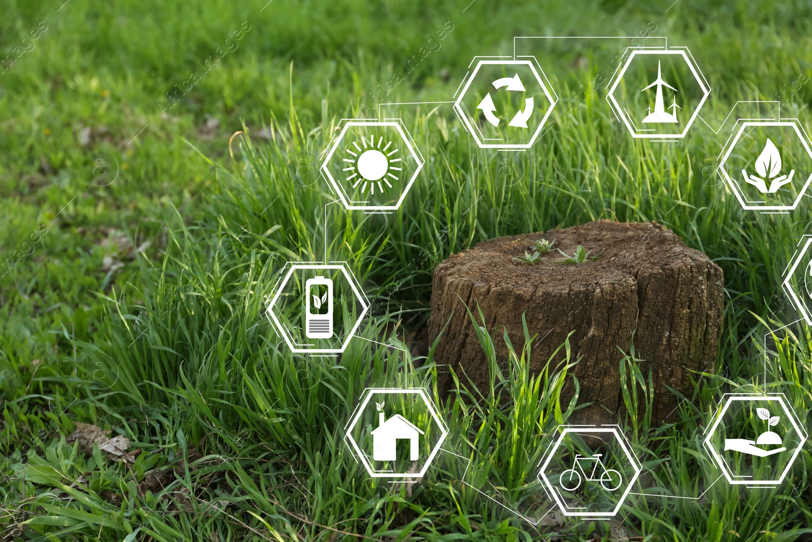 Image of Environmental protection. Many different icons around tree stump among green grass