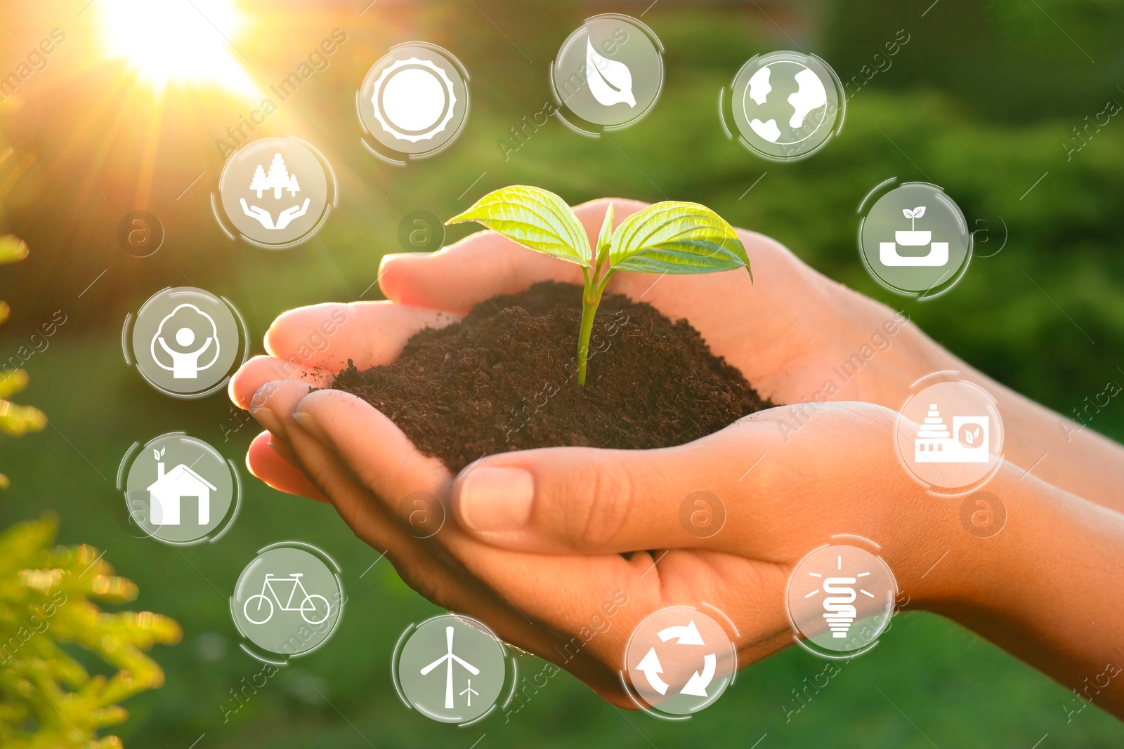 Image of Environmental protection. Woman holding young green seedling in soil against blurred background, closeup. Many different icons around her hands