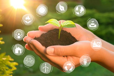 Image of Environmental protection. Woman holding young green seedling in soil against blurred background, closeup. Many different icons around her hands