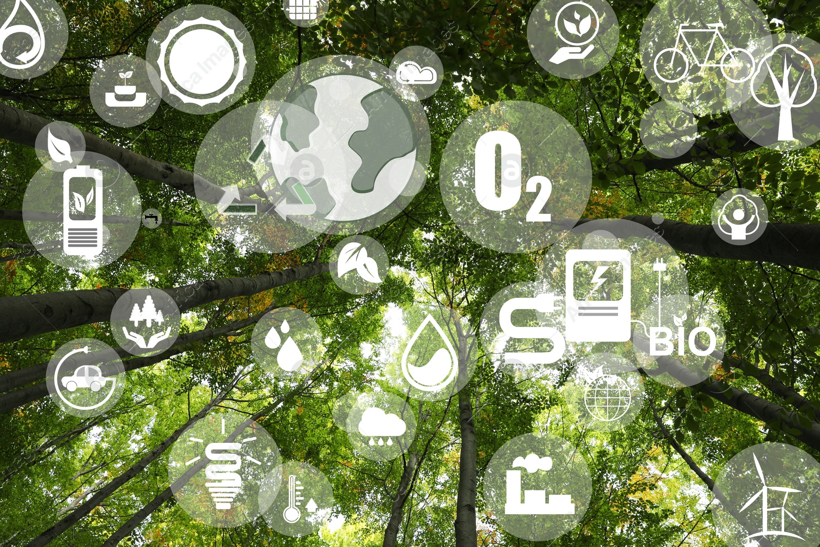 Image of Environmental protection. Many different icons and trees with green leaves