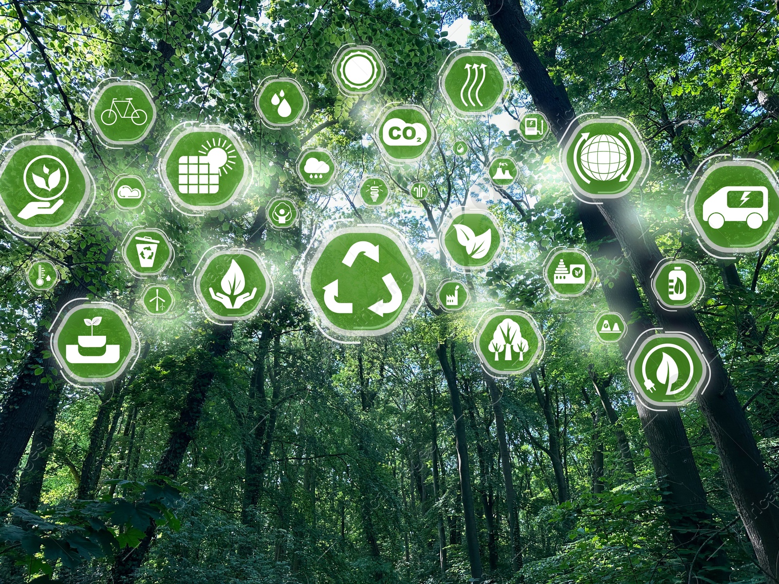 Image of Environmental protection. Many different icons and green trees