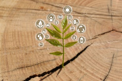 Environmental protection. Many different icons around seedling growing from tree stump