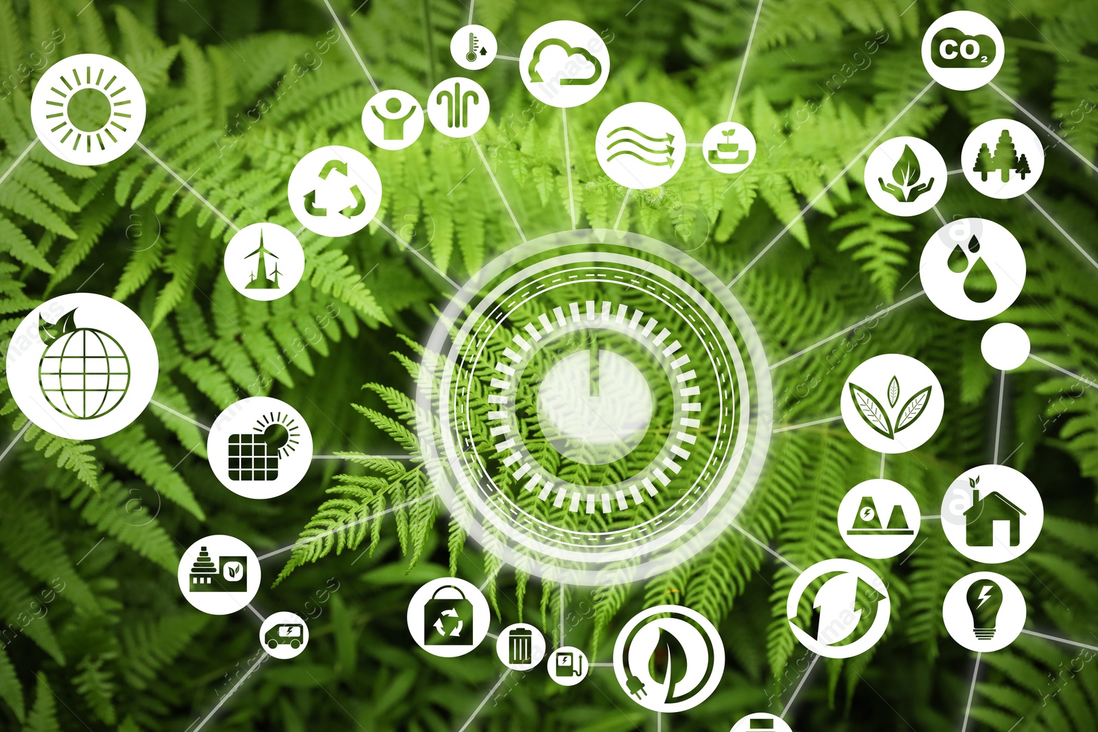 Image of Environmental protection. Many different icons and green fern plants